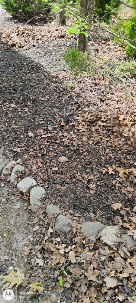 Custom landscaping services in Waterford Works, NJ - Georgianna's Gardening