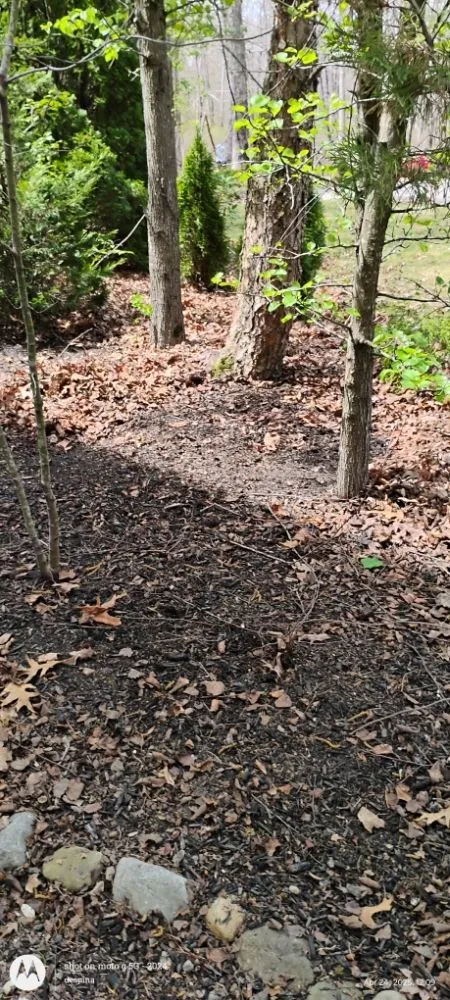 Affordable outdoor landscaping in Waterford Works, NJ by Georgianna's Gardening