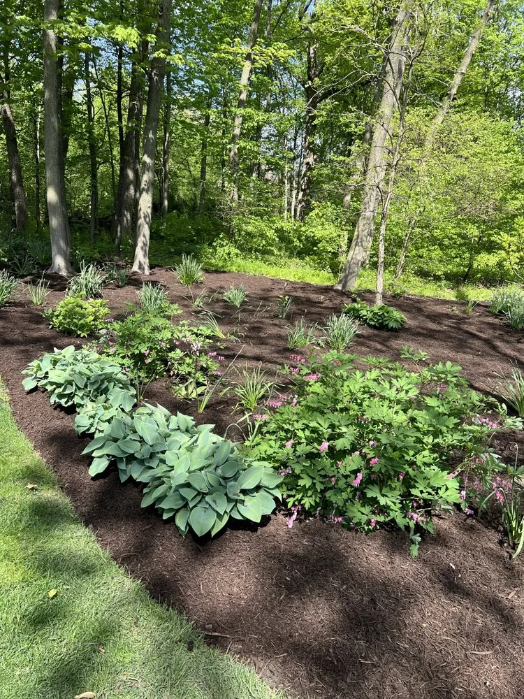 Top-rated landscape installation experts serving West Chicago, IL - Geo’s Landscaping