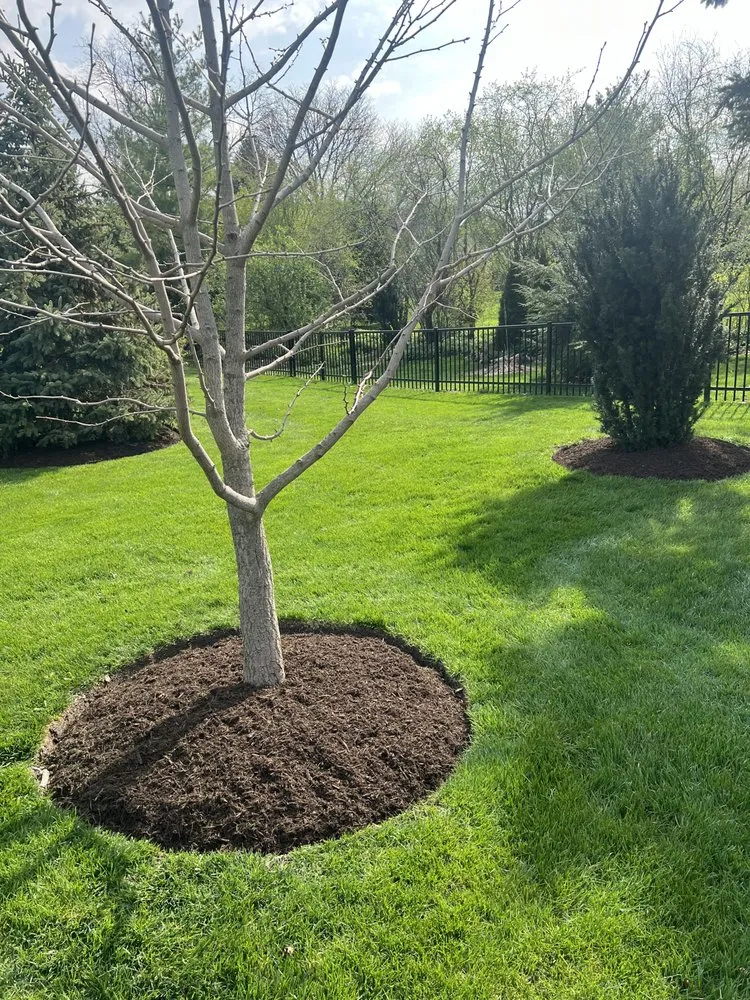 Local landscape design in West Chicago, IL by Geo’s Landscaping