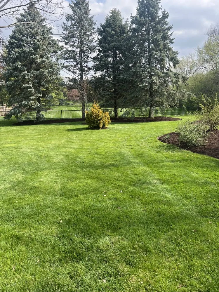 Custom yard cleanup service for homes in West Chicago, IL by Geo’s Landscaping