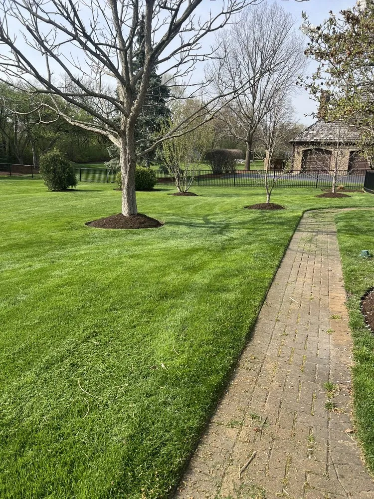 Expert yard cleanup service for homes across West Chicago, IL - Geo’s Landscaping