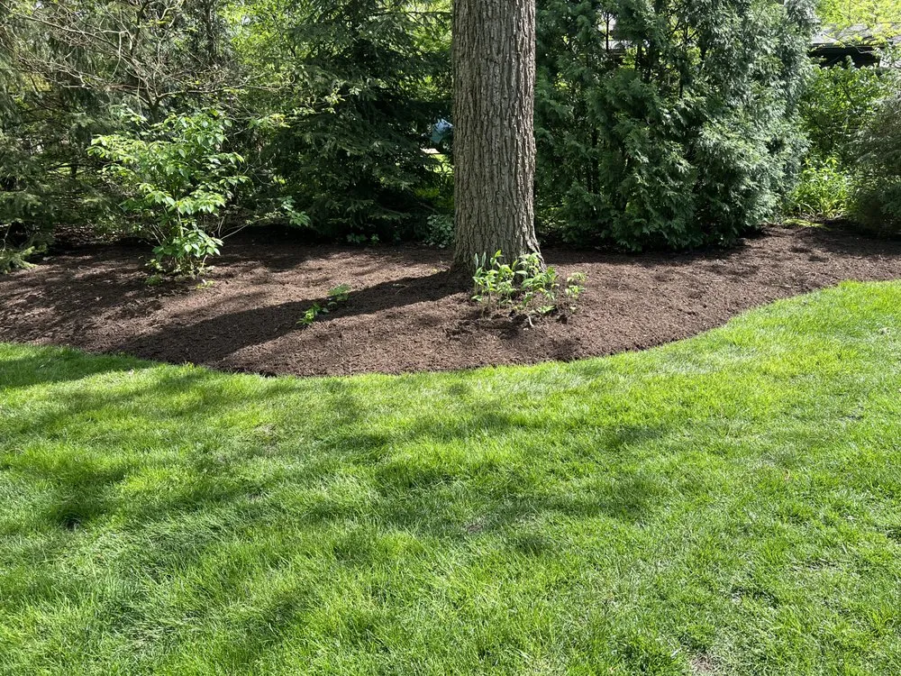 Affordable lawn care service in West Chicago, IL - Geo’s Landscaping