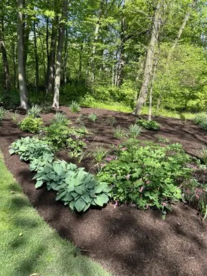 Geo’s Landscaping Logo