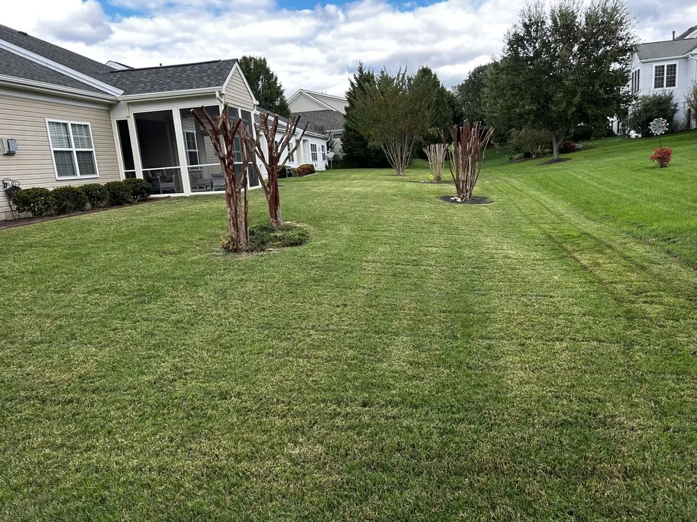 Top-rated lawn mowing service for year-round maintenance in Williamsburg, VA by Geo’s Lawn Services