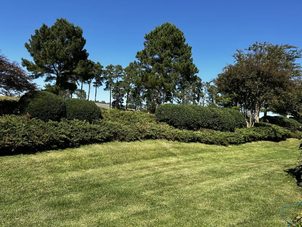 Top-rated landscape installation with custom design across Williamsburg, VA - Geo’s Lawn Services