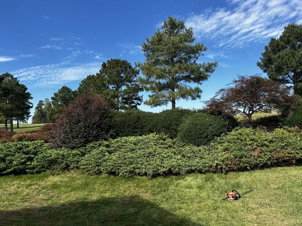 Professional landscape design experts serving Williamsburg, VA - Geo’s Lawn Services