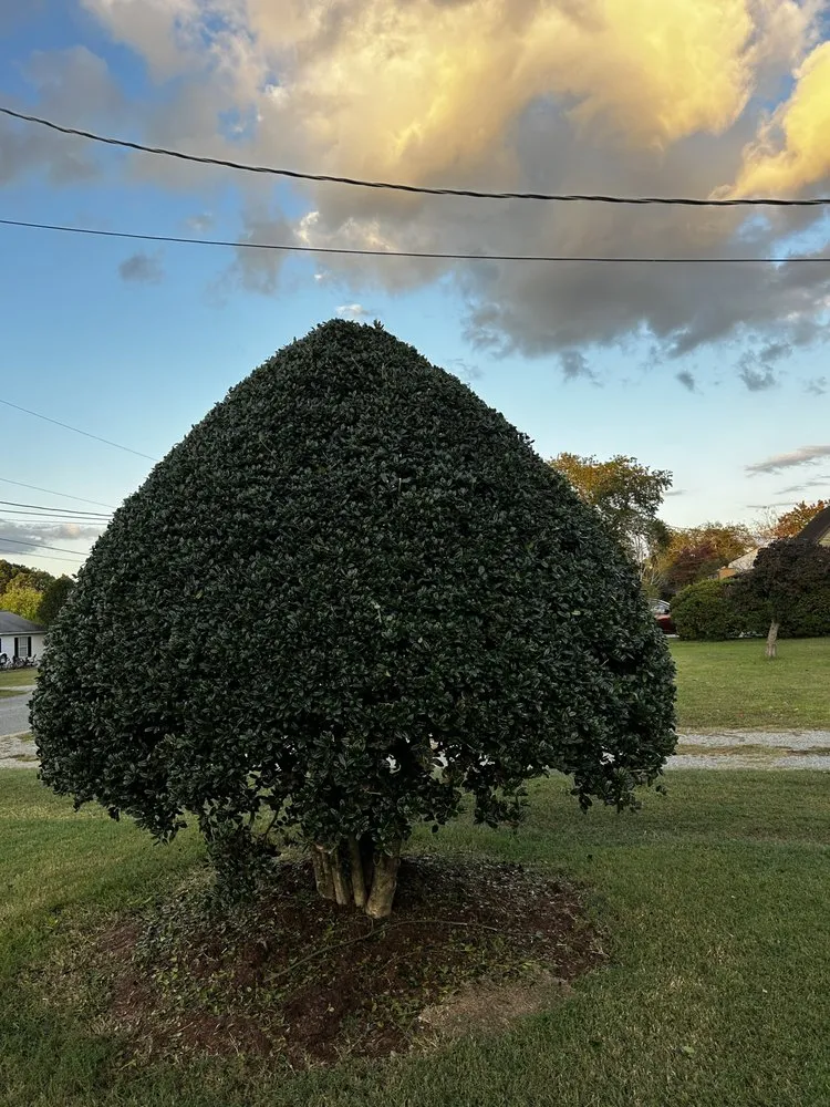 Reliable outdoor landscaping for residential properties across Williamsburg, VA - Geo’s Lawn Services