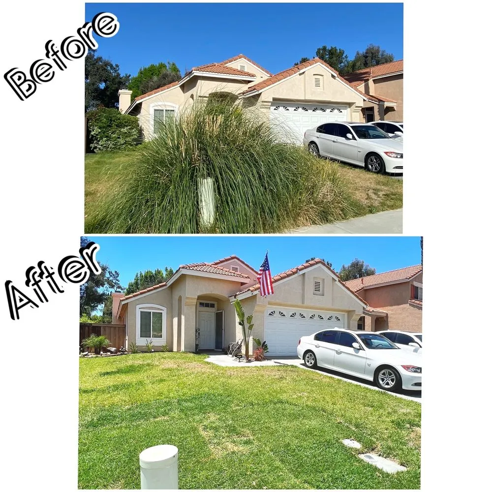 Reliable garden landscaping for residential properties across Lake Elsinore, CA - Geoturf Landscape