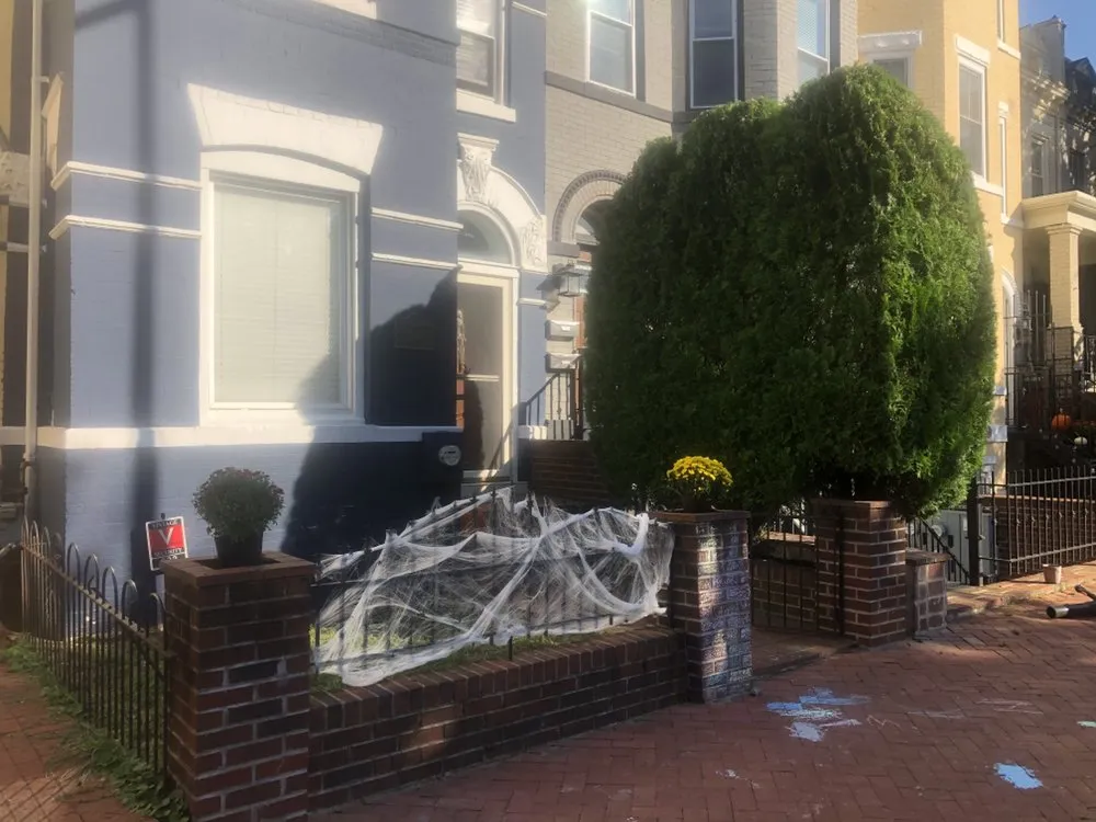 Top-rated residential landscaping in Adelphi, MD - Geovanni JR Tree Services