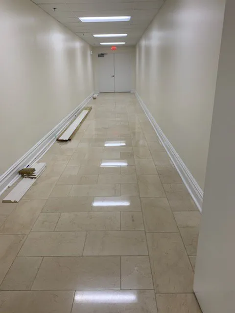 Expert garden landscaping for outdoor upgrades in Adelphi, MD by Geovanni JR Tree Services