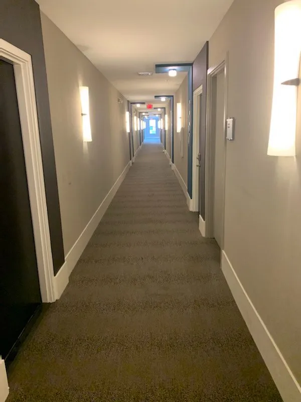 Affordable landscape design experts serving Adelphi, MD - Geovanni JR Tree Services