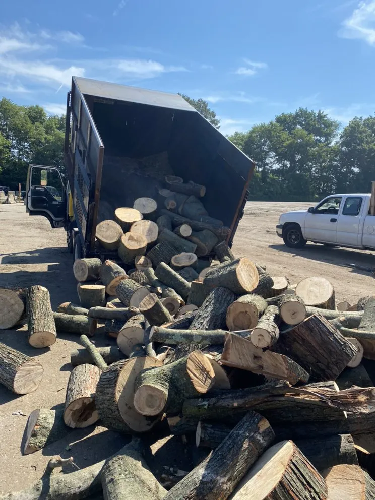 Custom lawn care service in Adelphi, MD - Geovanni JR Tree Services