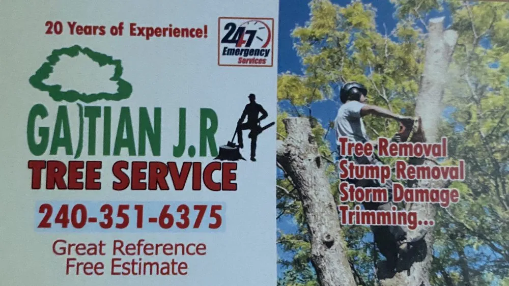 Local yard cleanup service for outdoor upgrades in Adelphi, MD by Geovanni JR Tree Services