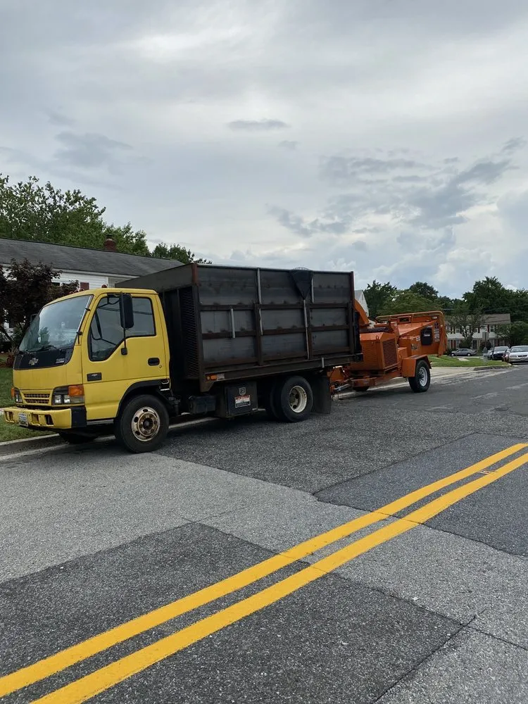 Local garden landscaping for homes in Adelphi, MD by Geovanni JR Tree Services