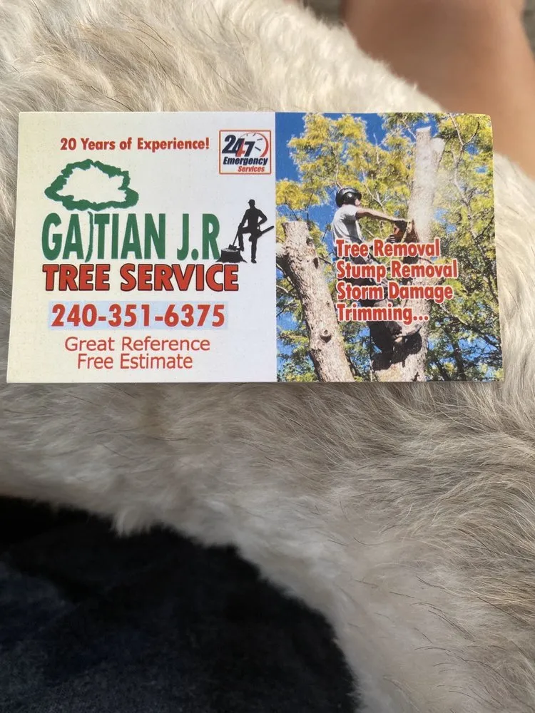 Custom garden landscaping in Adelphi, MD - Geovanni JR Tree Services