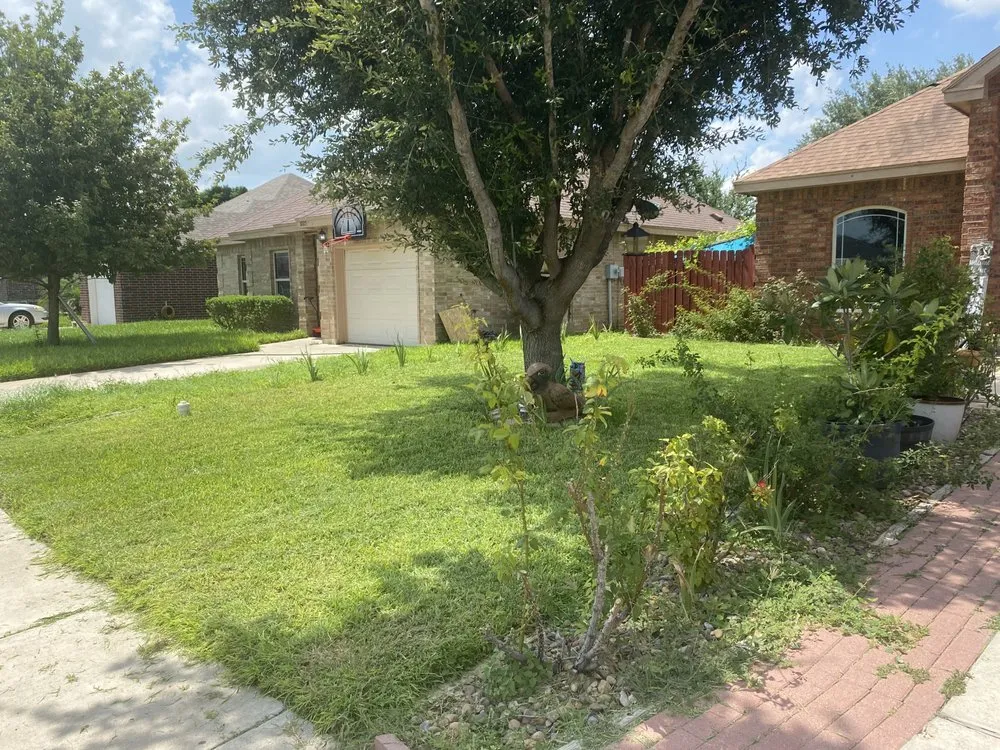 Top-rated yard maintenance experts serving Mission, TX - Ger N Dam Mowing