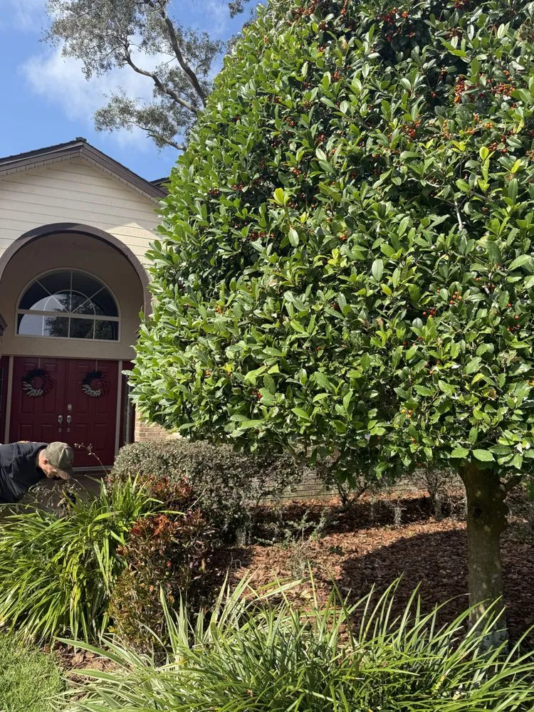 Top-rated yard maintenance for outdoor upgrades in Brandon, FL by Gerald Sperling Landscaping