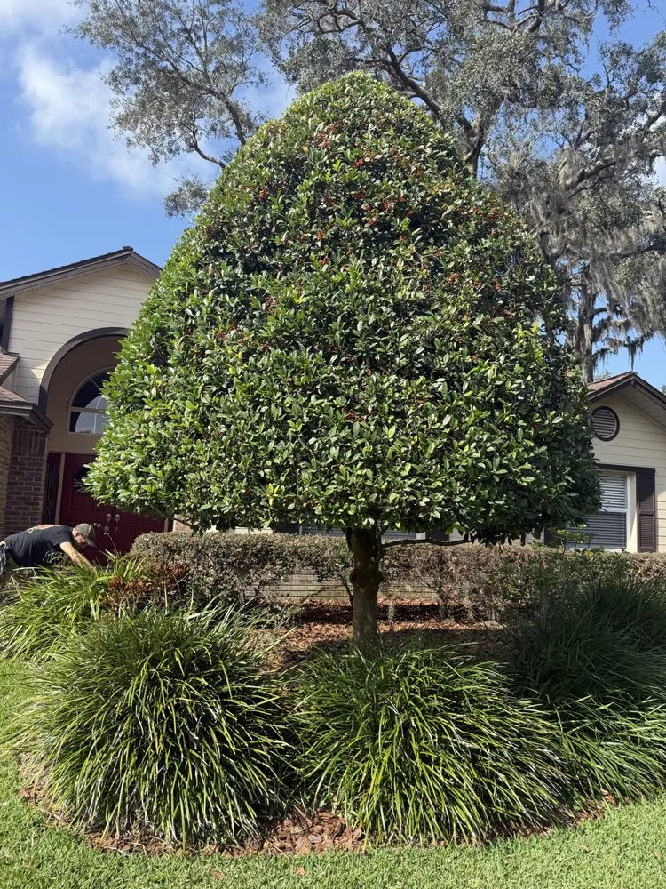 Custom outdoor landscaping in Brandon, FL - Gerald Sperling Landscaping