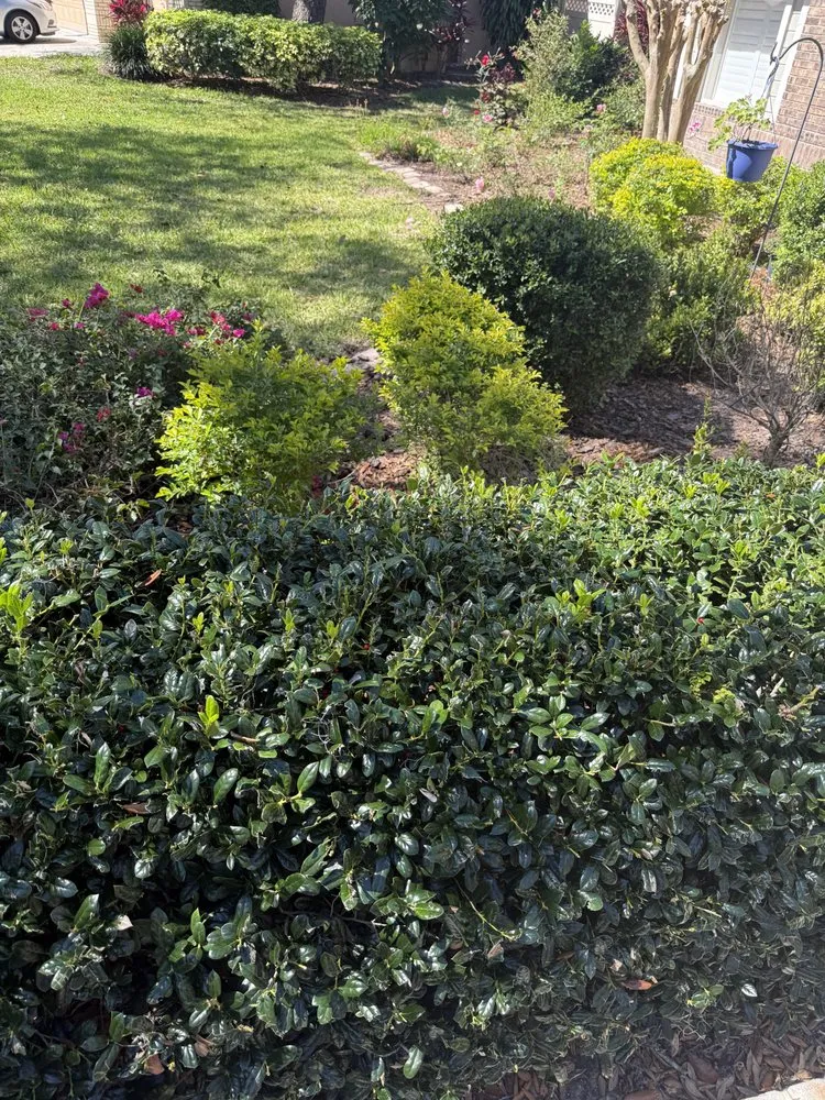 Reliable landscape installation in Brandon, FL by Gerald Sperling Landscaping
