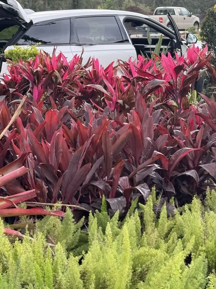 Reliable residential landscaping in Brandon, FL by Gerald Sperling Landscaping