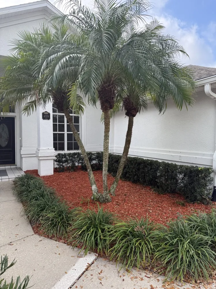 Professional landscape design in Brandon, FL - Gerald Sperling Landscaping