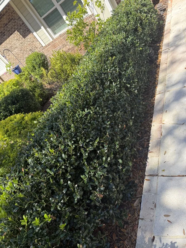 Custom yard maintenance experts serving Brandon, FL - Gerald Sperling Landscaping