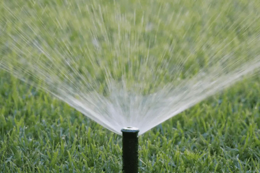 Expert landscape design for year-round maintenance across Hallsville, TX - Gerald's Landscape & Irrigation