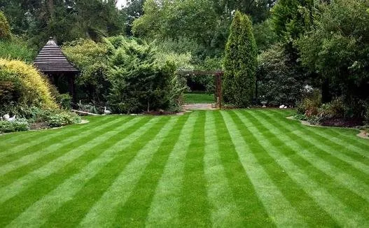 Trusted lawn mowing service in Germantown, MD by Gerald's Landscaping