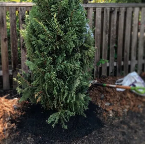 Top-rated yard maintenance for year-round maintenance across Germantown, MD - Gerald's Landscaping