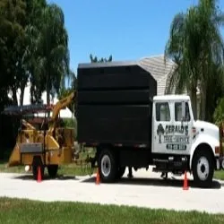 Custom outdoor landscaping experts serving Bonita Springs, FL - Gerald's Tree Service