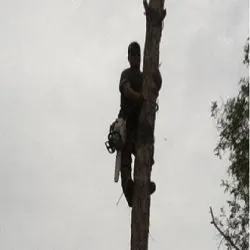 Expert garden landscaping in Bonita Springs, FL - Gerald's Tree Service