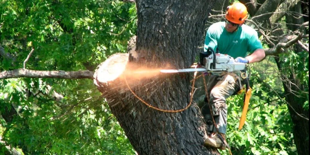 Reliable lawn mowing service experts serving Bonita Springs, FL - Gerald's Tree Service