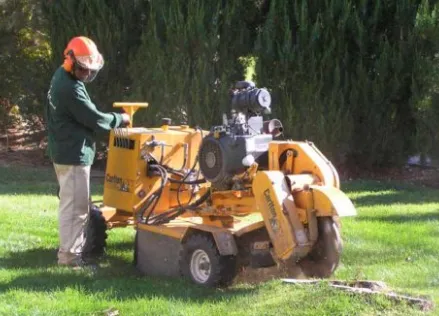Affordable landscape installation for residential properties across Bonita Springs, FL - Gerald's Tree Service
