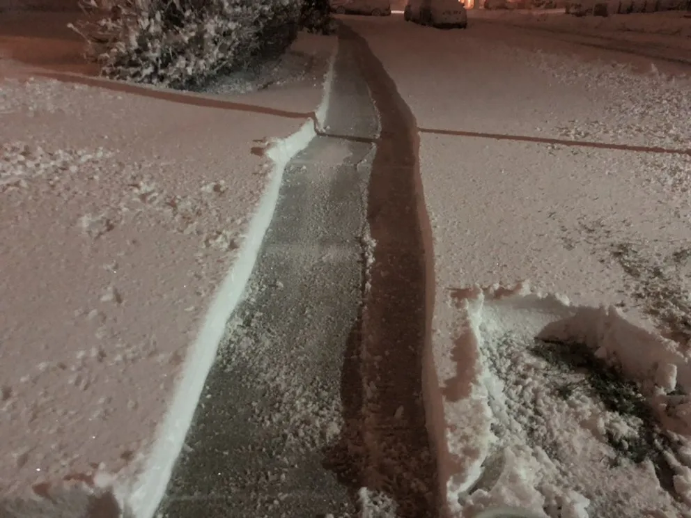 Affordable yard maintenance experts serving South Elgin, IL - Gerar Landscaping