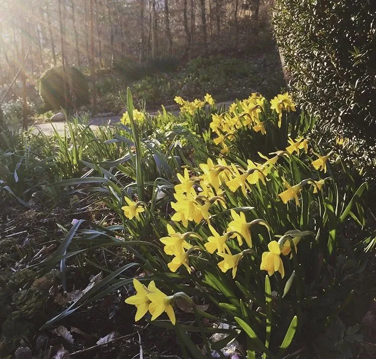 Custom garden landscaping experts serving Heidelberg, PA - Gerard Landscaping