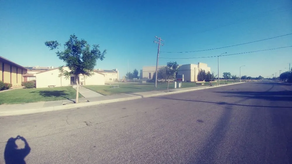 Reliable landscape design in Littlerock, CA - Gerardo Gonzalez El Yaqui