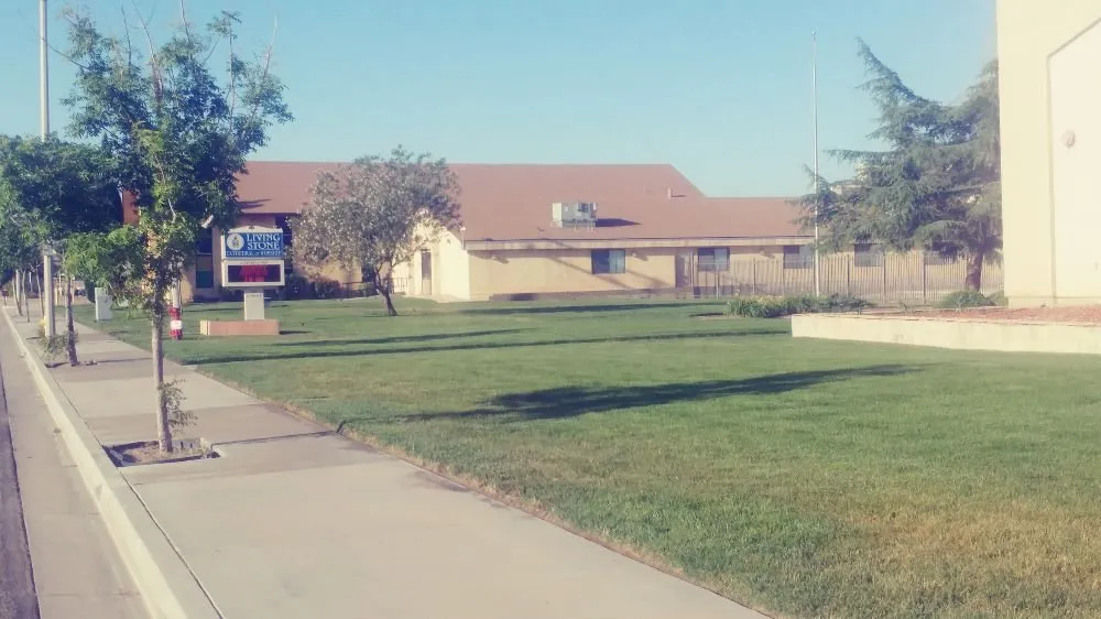 Professional outdoor landscaping for year-round maintenance across Littlerock, CA - Gerardo Gonzalez El Yaqui