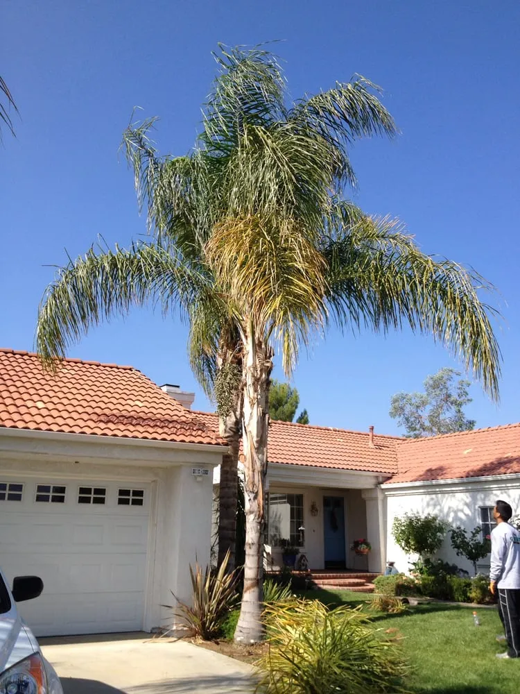 Expert outdoor landscaping in Santa Clarita, CA - Gerardo Landscape