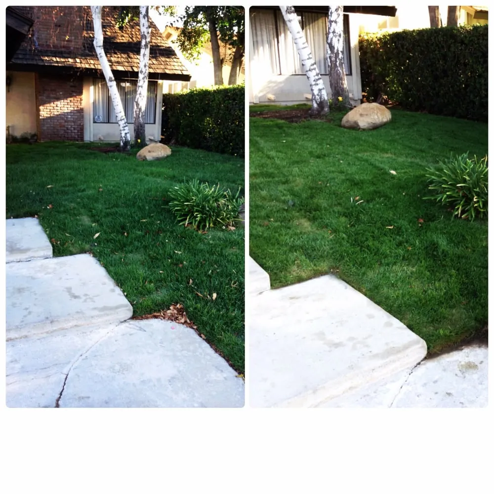 Custom yard cleanup service for homes in Santa Clarita, CA by Gerardo Landscape