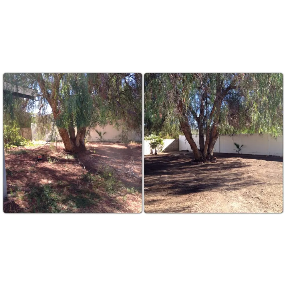 Local yard maintenance in Santa Clarita, CA - Gerardo Landscape