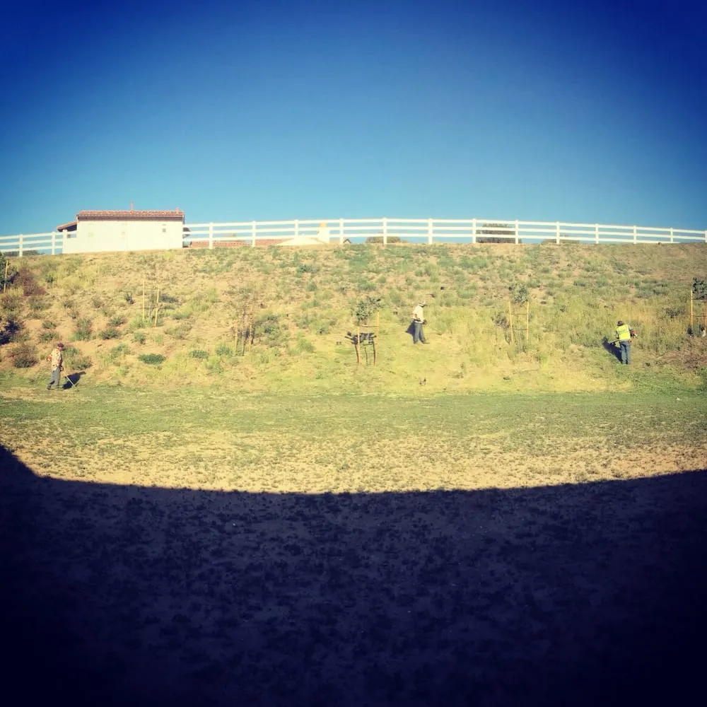 Affordable lawn care service in Santa Clarita, CA - Gerardo Landscape