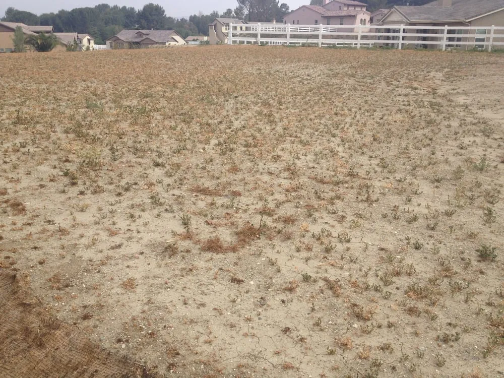 Professional residential landscaping for homes across Santa Clarita, CA - Gerardo Landscape