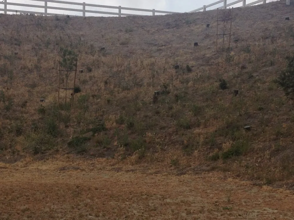 Affordable landscape design experts serving Santa Clarita, CA - Gerardo Landscape