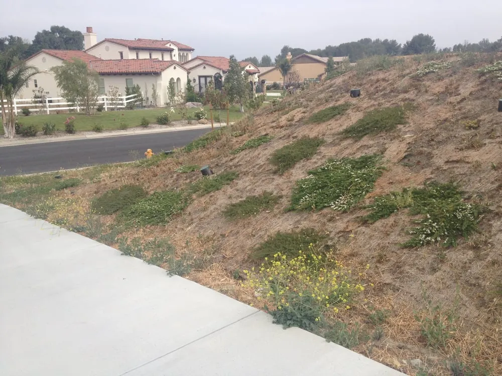 Reliable landscape design experts serving Santa Clarita, CA - Gerardo Landscape