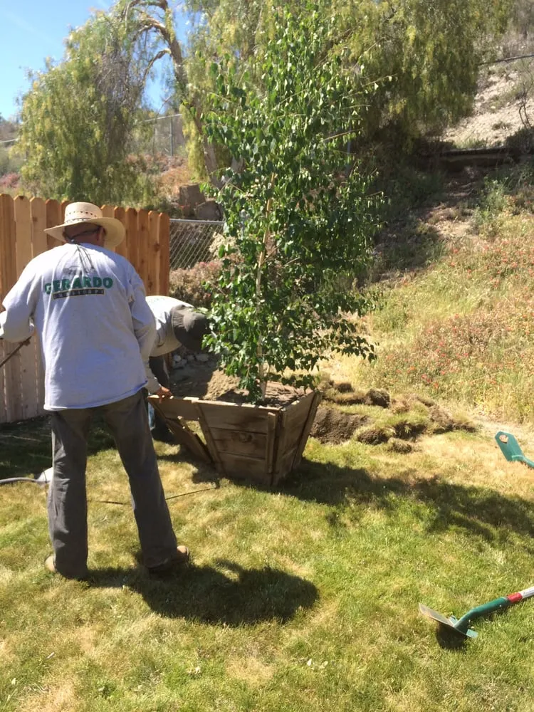 Reliable lawn care service for homes across Santa Clarita, CA - Gerardo Landscape