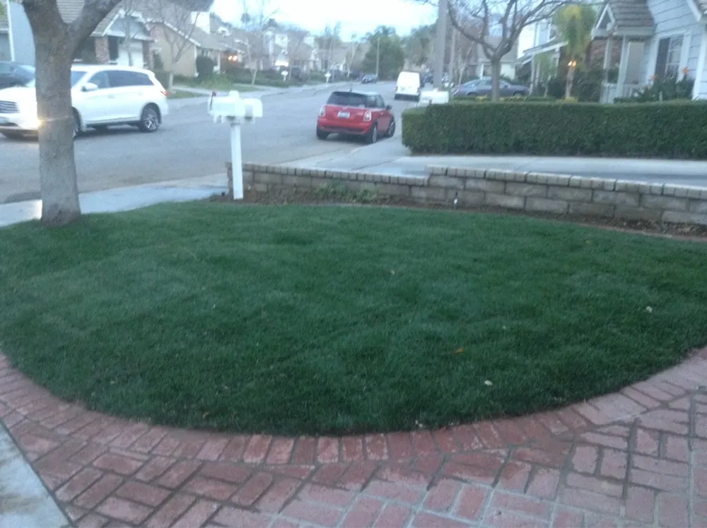 Affordable lawn care service in Santa Clarita, CA - Gerardo Landscape