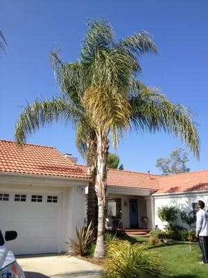 Gerardo Landscape Logo