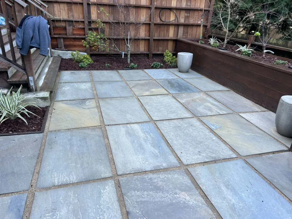 Custom yard cleanup service in San Francisco, CA by Gerardo Mariona