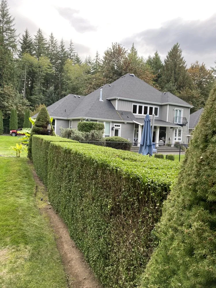 Local lawn care service for year-round maintenance in Olympia, WA by Gerardo Yard Maintenance